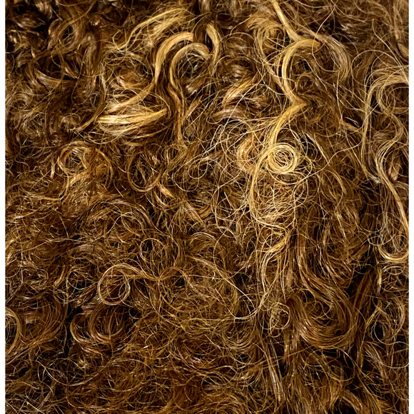 100% Human Hair Wig Kinky Curly Katrina Brown Frost for Women Average Size NWT - Picture 3 of 10